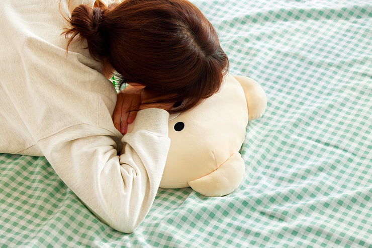 【PINK&VEN】Plush Soft Pillow - VEN